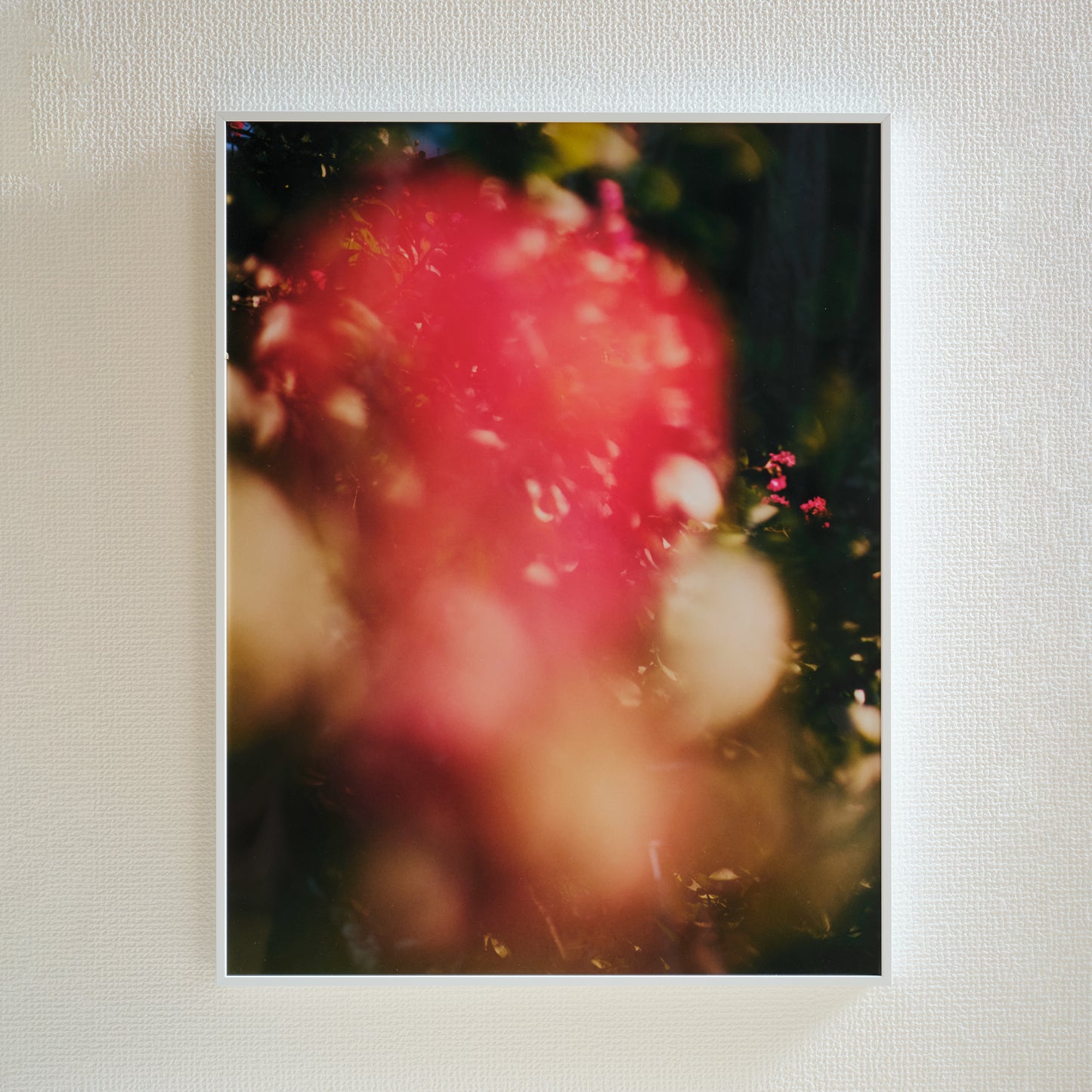 Photography by Saki Omi (No.06)