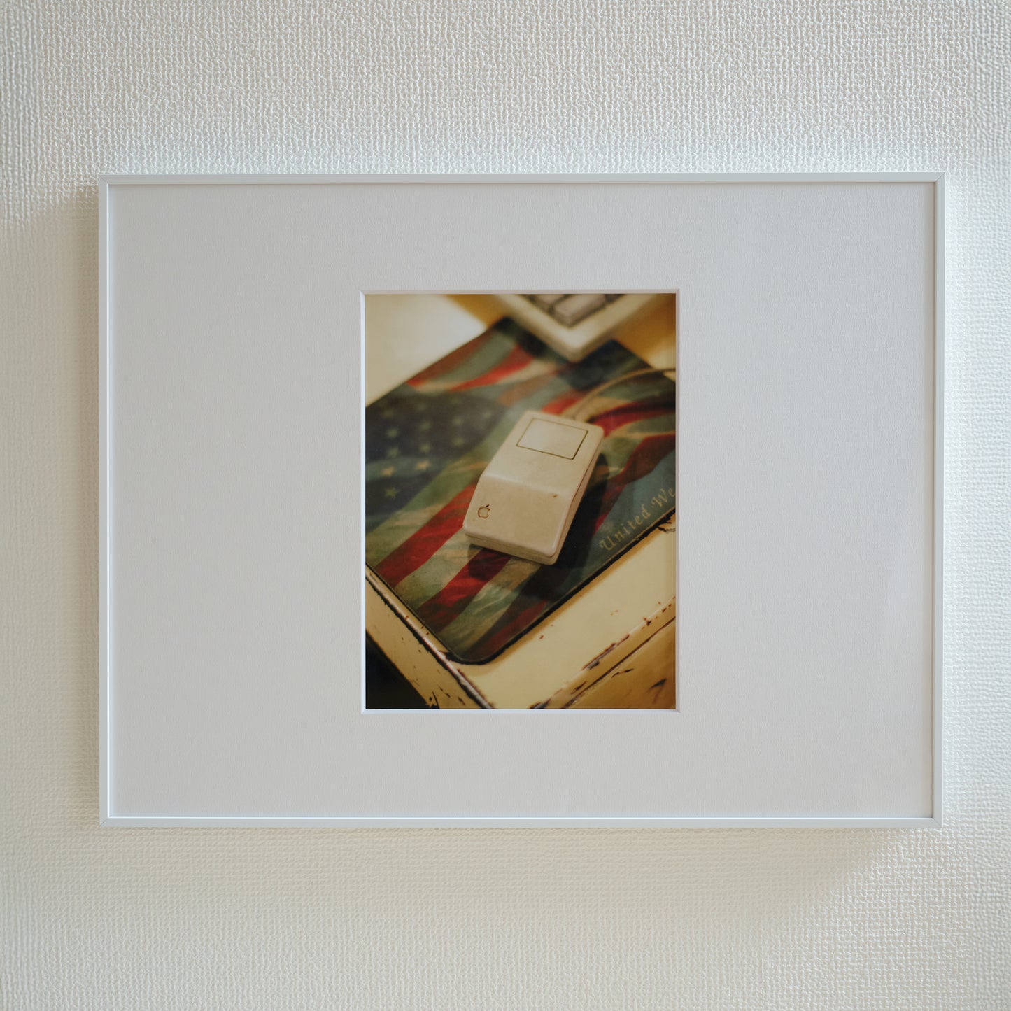 Photography by Saki Omi (No.03)