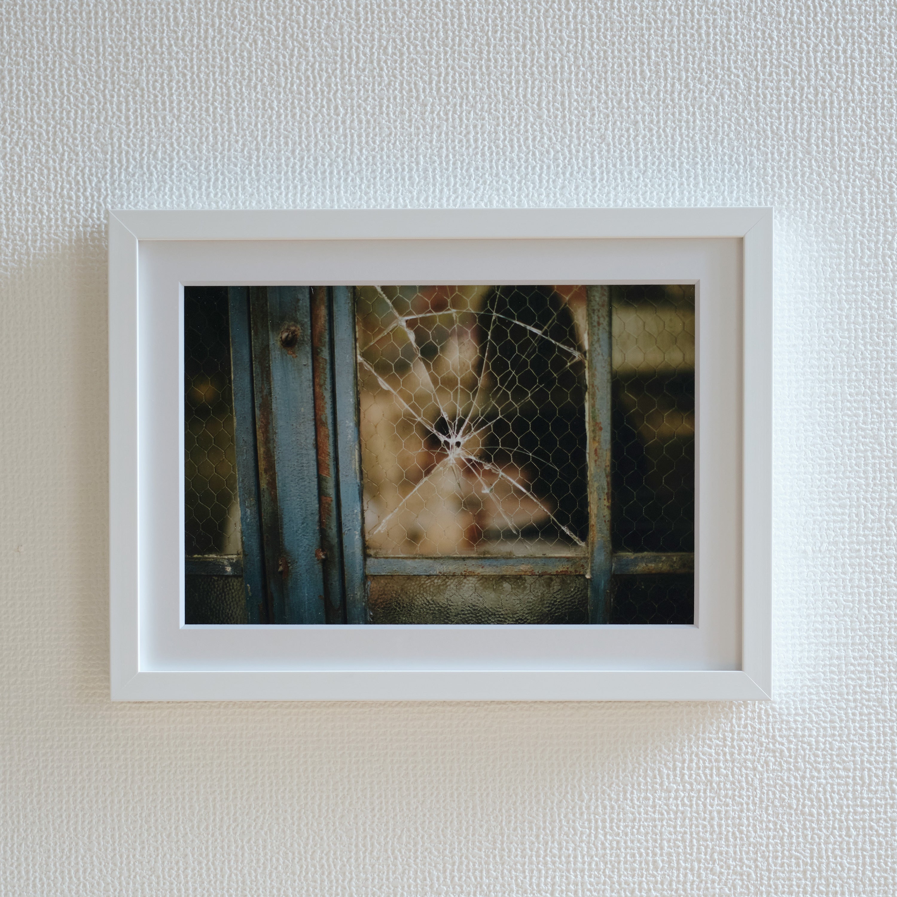 Photography by Saki Omi (No.14)