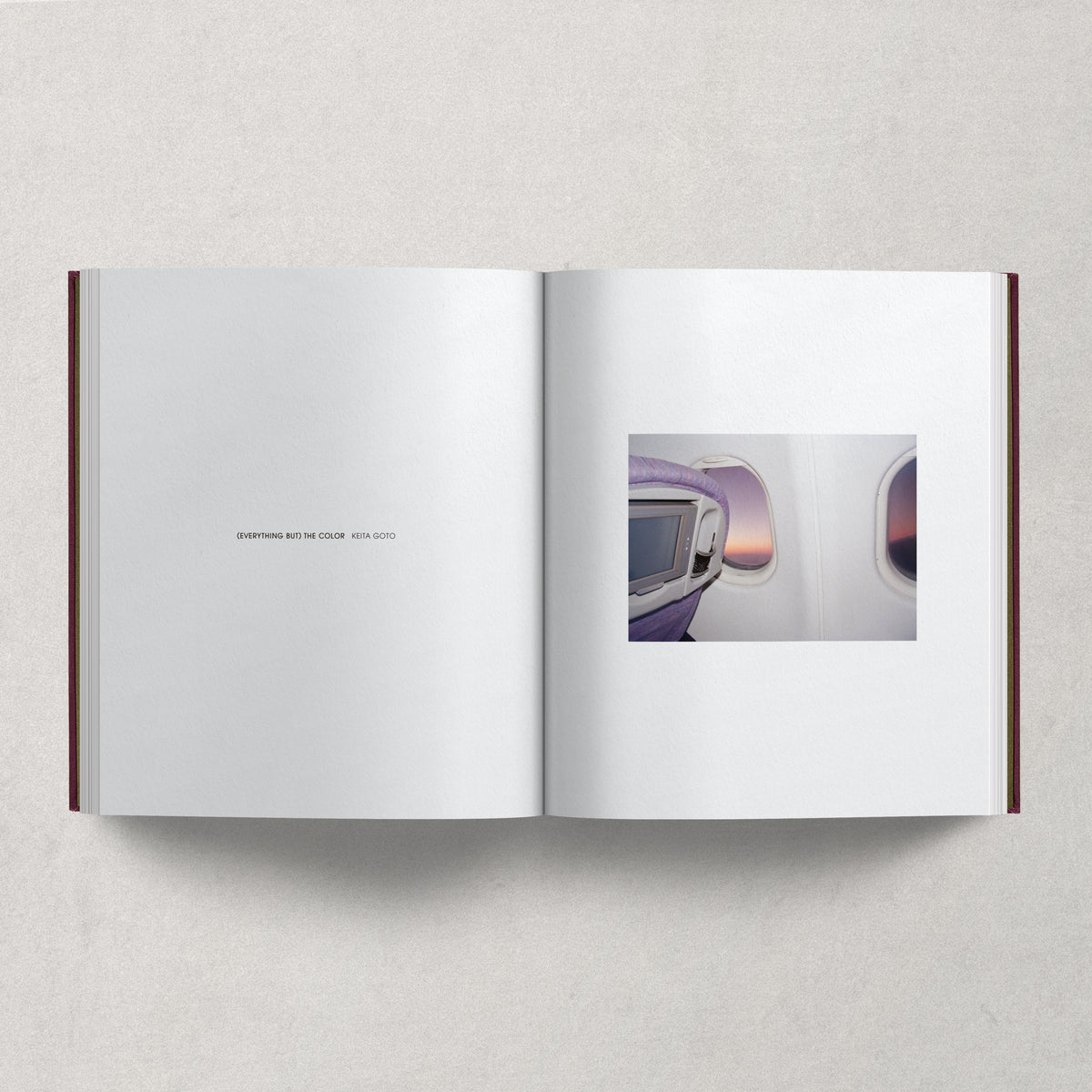 (EVERYTHING BUT THE) COLOR / Keita Goto