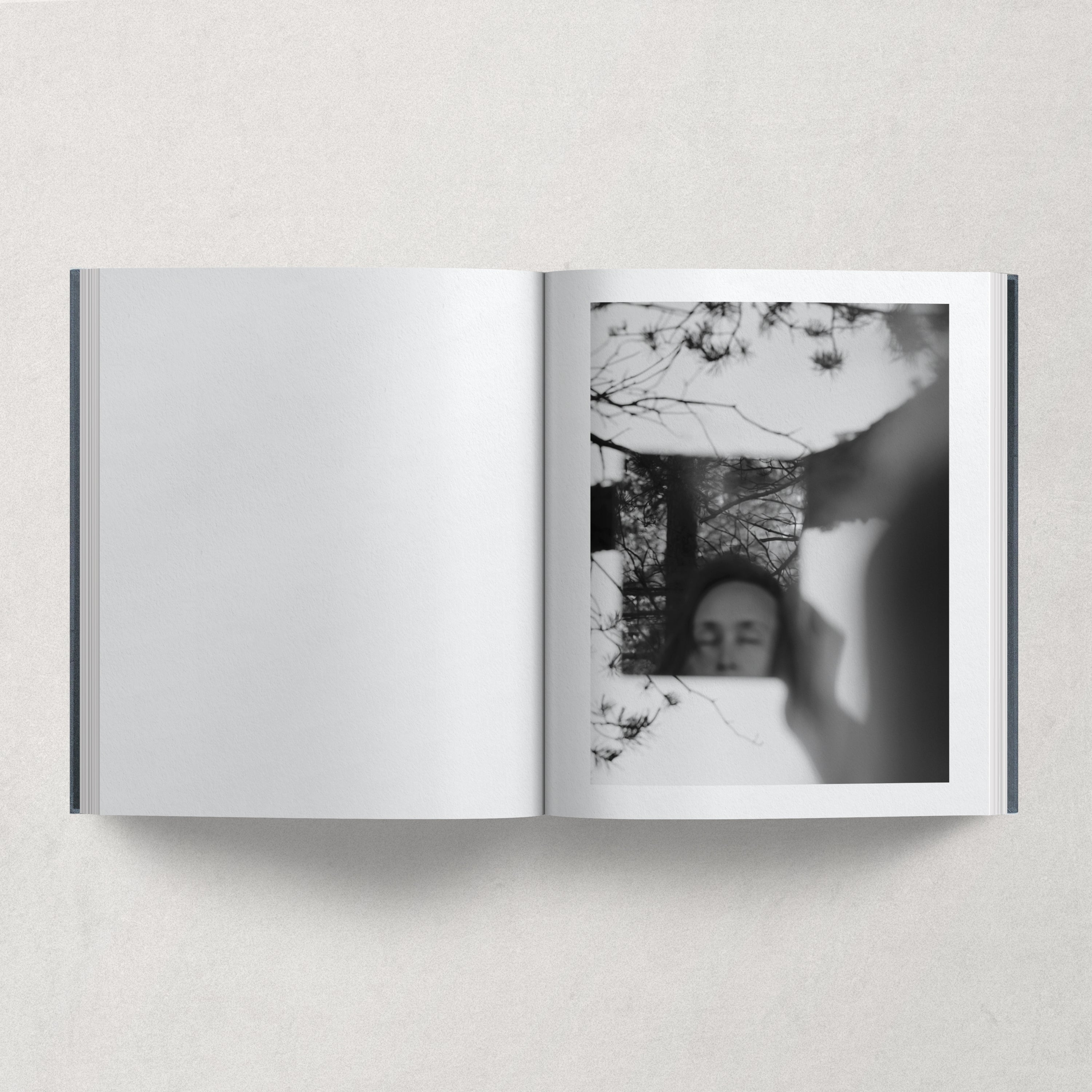 Island / Julia Hetta