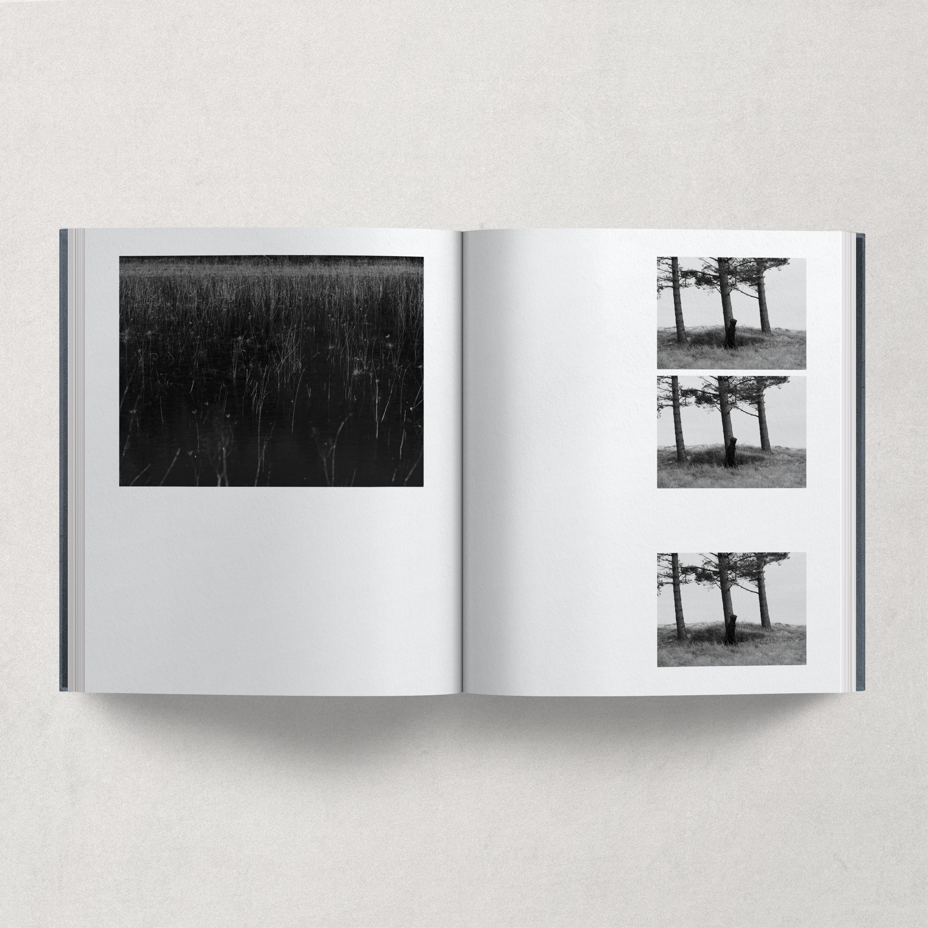 Island / Julia Hetta