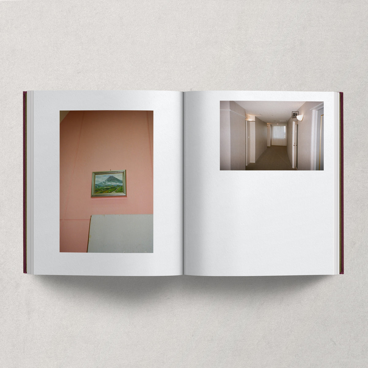 (EVERYTHING BUT THE) COLOR / Keita Goto