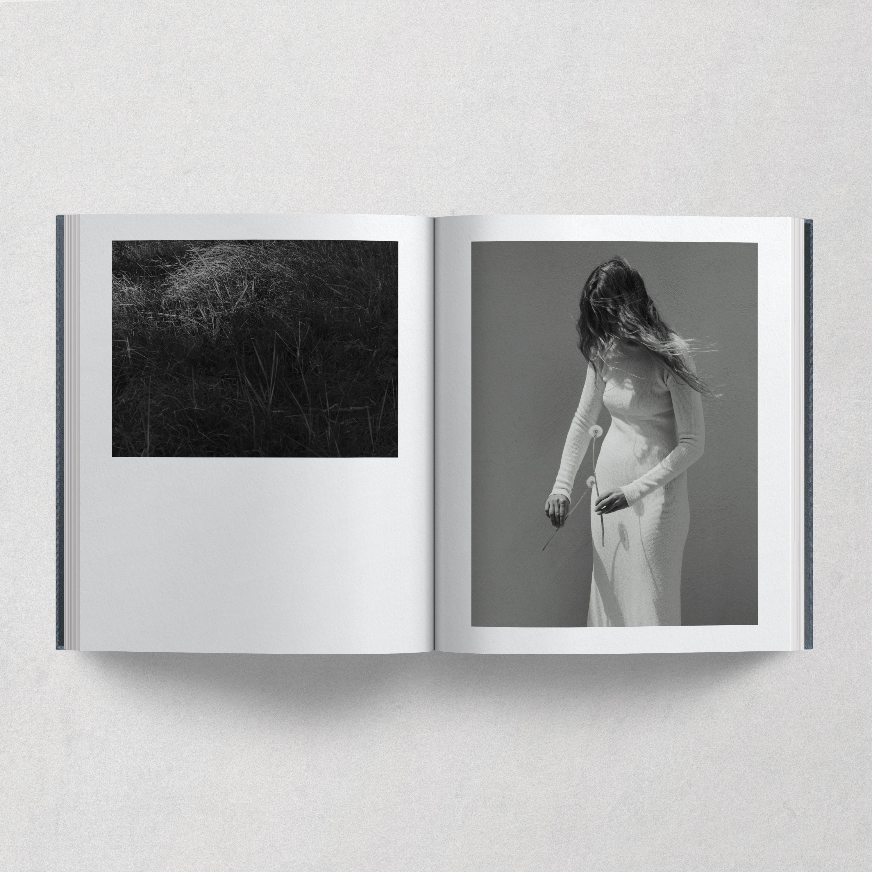 Island / Julia Hetta