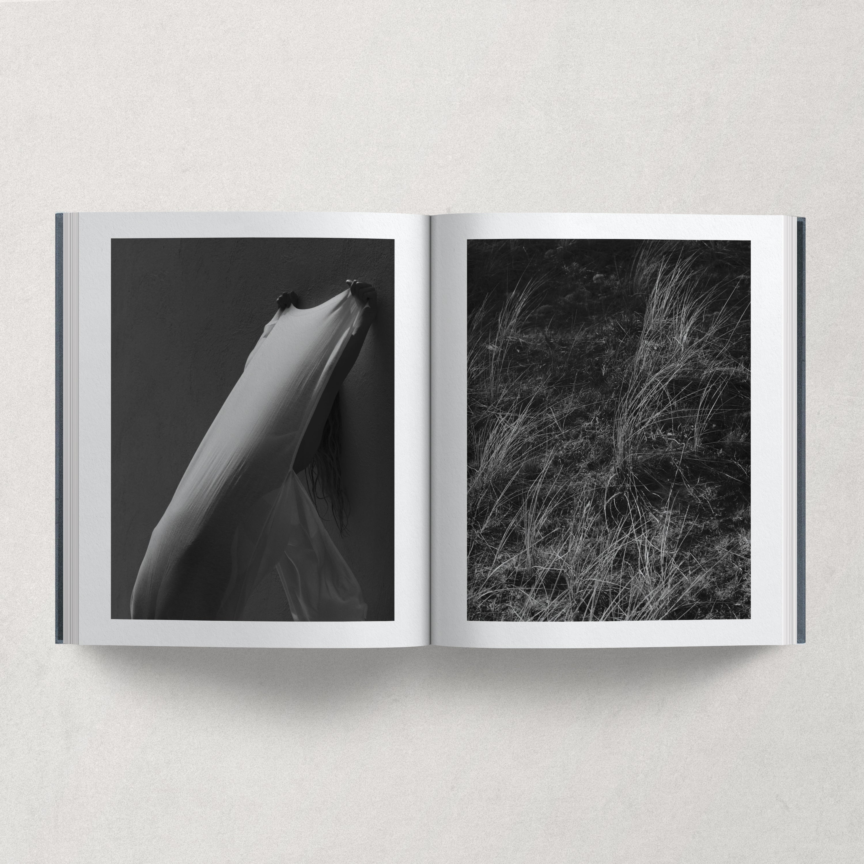 Island / Julia Hetta