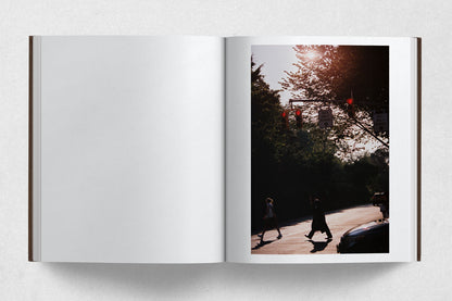 New York Älways, Älmost / Seishi Shirakawa